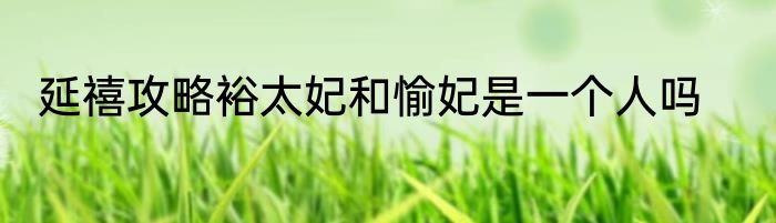 延禧攻略裕太妃和愉妃是一个人吗