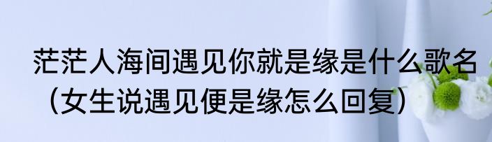 茫茫人海间遇见你就是缘是什么歌名（女生说遇见便是缘怎么回复）