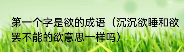 第一个字是欲的成语（沉沉欲睡和欲罢不能的欲意思一样吗）