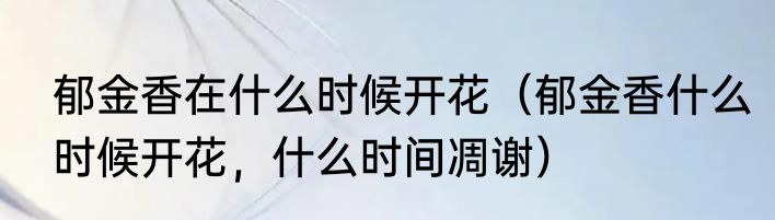 郁金香在什么时候开花（郁金香什么时候开花，什么时间凋谢）