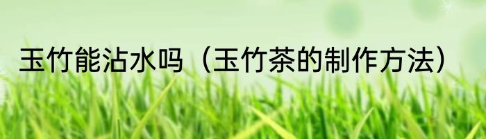 玉竹能沾水吗（玉竹茶的制作方法）