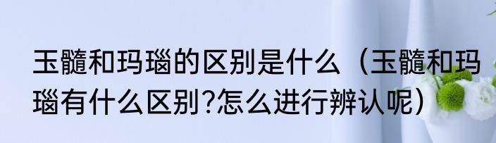玉髓和玛瑙的区别是什么（玉髓和玛瑙有什么区别?怎么进行辨认呢）