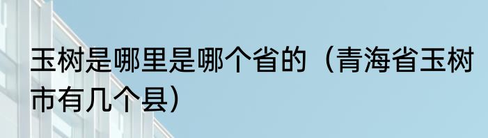 玉树是哪里是哪个省的（青海省玉树市有几个县）