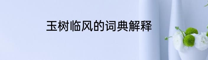 玉树临风的词典解释