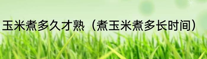 玉米煮多久才熟（煮玉米煮多长时间）