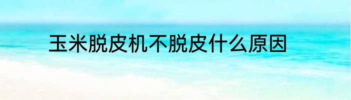 玉米脱皮机不脱皮什么原因