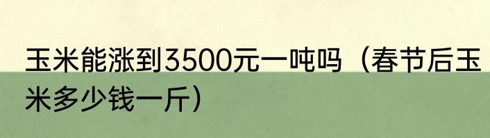 玉米能涨到3500元一吨吗（春节后玉米多少钱一斤）