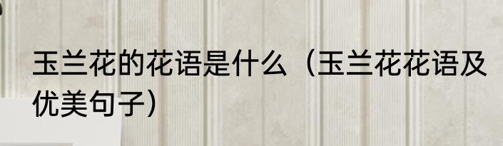 玉兰花的花语是什么（玉兰花花语及优美句子）