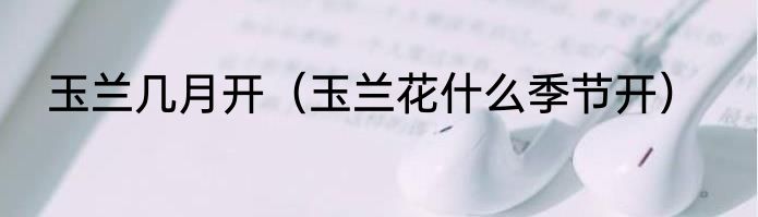 玉兰几月开（玉兰花什么季节开）