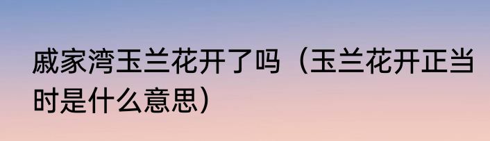 戚家湾玉兰花开了吗（玉兰花开正当时是什么意思）