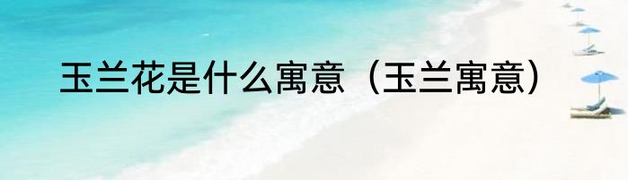 玉兰花是什么寓意（玉兰寓意）