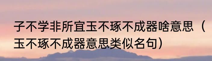 子不学非所宜玉不琢不成器啥意思（玉不琢不成器意思类似名句）