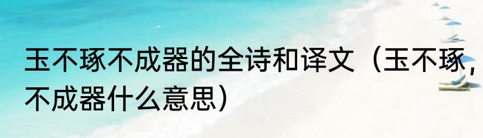 玉不琢不成器的全诗和译文（玉不琢，不成器什么意思）