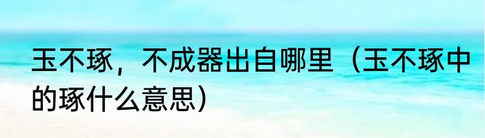 玉不琢，不成器出自哪里（玉不琢中的琢什么意思）