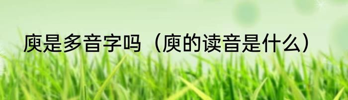 庾是多音字吗（庾的读音是什么）