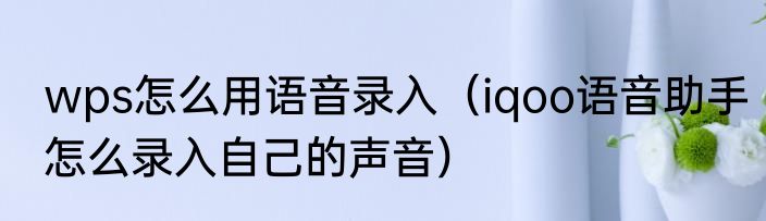 wps怎么用语音录入（iqoo语音助手怎么录入自己的声音）