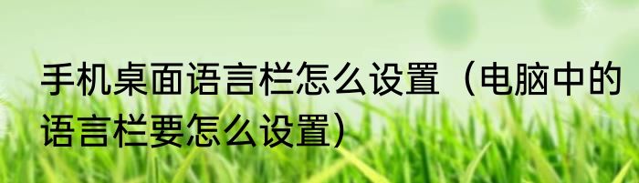 手机桌面语言栏怎么设置（电脑中的语言栏要怎么设置）