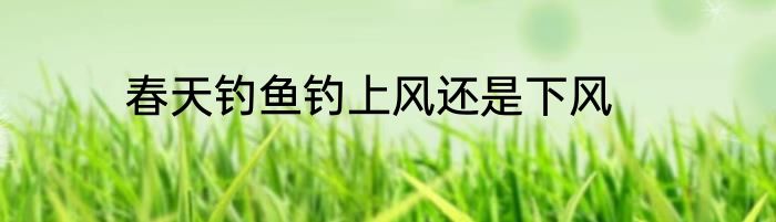 春天钓鱼钓上风还是下风