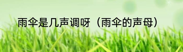 雨伞是几声调呀（雨伞的声母）