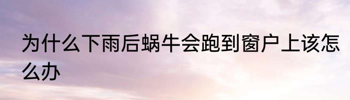 为什么下雨后蜗牛会跑到窗户上该怎么办