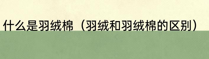 什么是羽绒棉（羽绒和羽绒棉的区别）