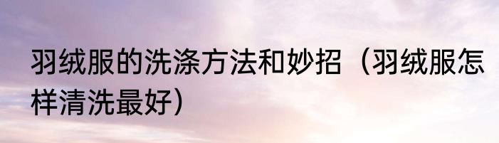 羽绒服的洗涤方法和妙招（羽绒服怎样清洗最好）