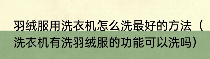 羽绒服用洗衣机怎么洗最好的方法（洗衣机有洗羽绒服的功能可以洗吗）