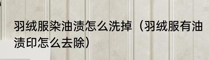 羽绒服染油渍怎么洗掉（羽绒服有油渍印怎么去除）
