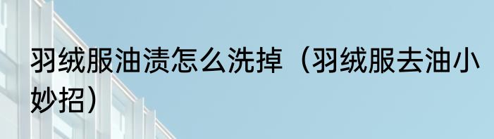 羽绒服油渍怎么洗掉（羽绒服去油小妙招）