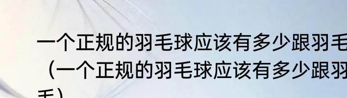 一个正规的羽毛球应该有多少跟羽毛（一个正规的羽毛球应该有多少跟羽毛）