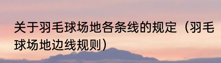 关于羽毛球场地各条线的规定（羽毛球场地边线规则）