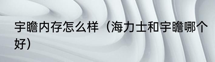 宇瞻内存怎么样（海力士和宇瞻哪个好）