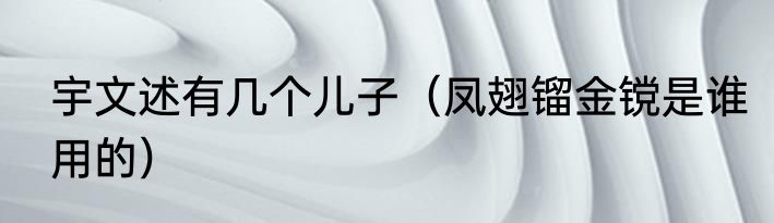 宇文述有几个儿子（凤翅镏金镋是谁用的）