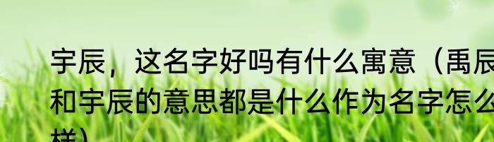 宇辰，这名字好吗有什么寓意（禹辰和宇辰的意思都是什么作为名字怎么样）