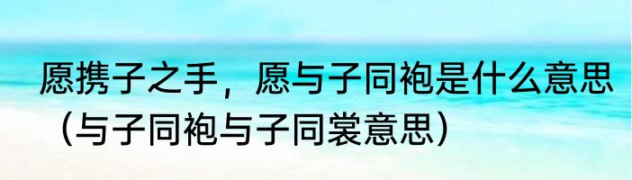 愿携子之手，愿与子同袍是什么意思（与子同袍与子同裳意思）