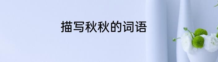 描写秋秋的词语