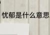 忧郁是什么意思（惆怅，是什么意思）