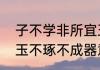 子不学非所宜玉不琢不成器啥意思（玉不琢不成器意思类似名句）