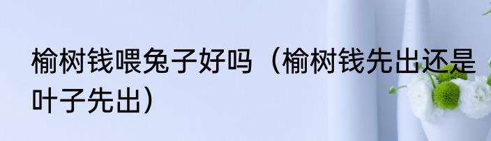 榆树钱喂兔子好吗（榆树钱先出还是叶子先出）