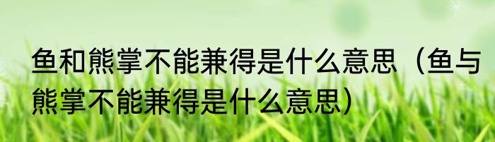 鱼和熊掌不能兼得是什么意思（鱼与熊掌不能兼得是什么意思）