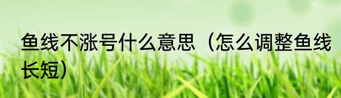 鱼线不涨号什么意思（怎么调整鱼线长短）