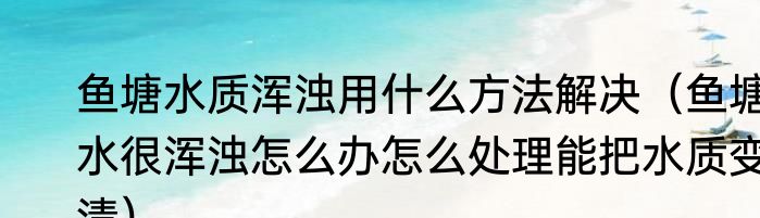 鱼塘水质浑浊用什么方法解决（鱼塘水很浑浊怎么办怎么处理能把水质变清）