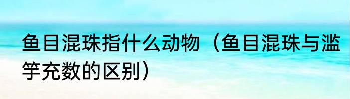 鱼目混珠指什么动物（鱼目混珠与滥竽充数的区别）