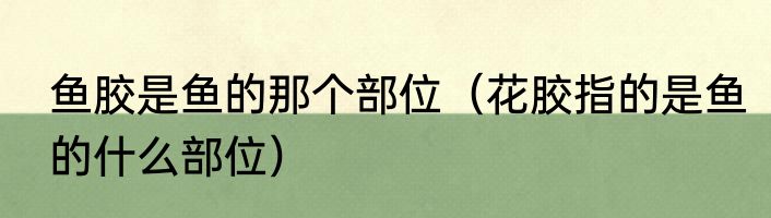 鱼胶是鱼的那个部位（花胶指的是鱼的什么部位）