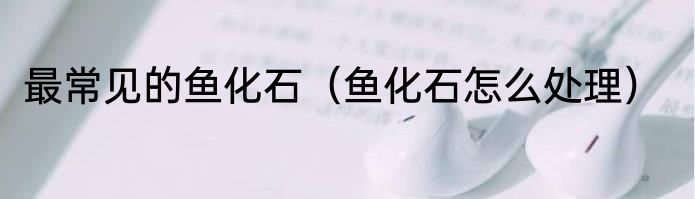 最常见的鱼化石（鱼化石怎么处理）