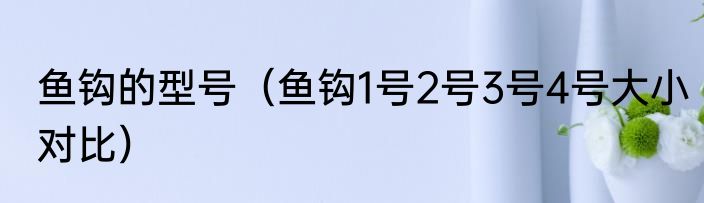 鱼钩的型号（鱼钩1号2号3号4号大小对比）