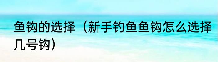 鱼钩的选择（新手钓鱼鱼钩怎么选择几号钩）