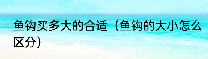 鱼钩买多大的合适（鱼钩的大小怎么区分）