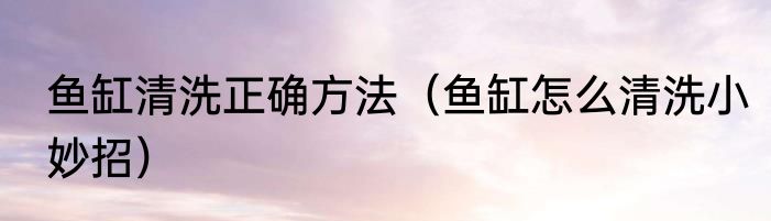 鱼缸清洗正确方法（鱼缸怎么清洗小妙招）