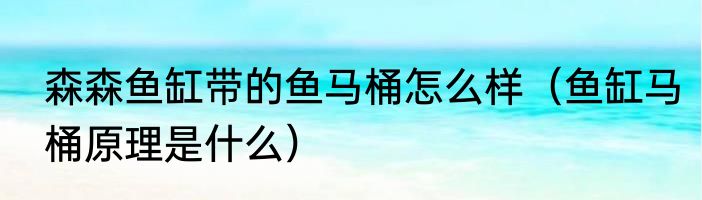 森森鱼缸带的鱼马桶怎么样（鱼缸马桶原理是什么）